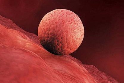 泰国试管婴儿多少费用呢？