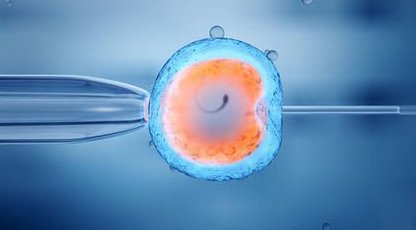 试管婴儿费用报销：哪些项目可享条件红利？