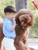 北京试管婴儿私立医院好吗？服务周到，值得信赖