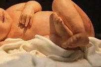 孕酮在泰国试管婴儿怀孕初期有什么作用