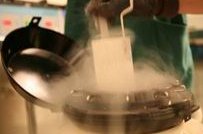 女性有染色体罗氏易位在泸州市做试管养囊成功率高吗？试管移植后需要保胎吗