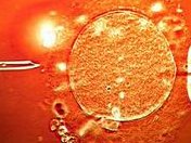 湖北荆州三代试管婴儿生孩子不靠谱，正规资质助孕机构只有这3家