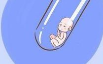 张家口最大的助孕机构有几家？看下具体流程